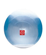 BOSU Ballast Ball