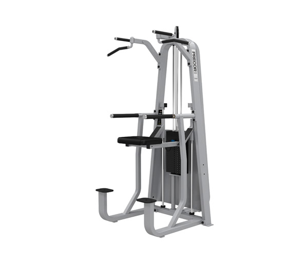 Заказать Силовой тренажер Подтягивание/Отжимание с помощью PRECOR 320