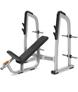 PRECOR DBR410