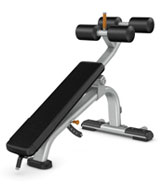 PRECOR DBR113