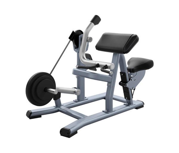 Заказать Силовой тренажер Бицепс сидя PRECOR DPL520